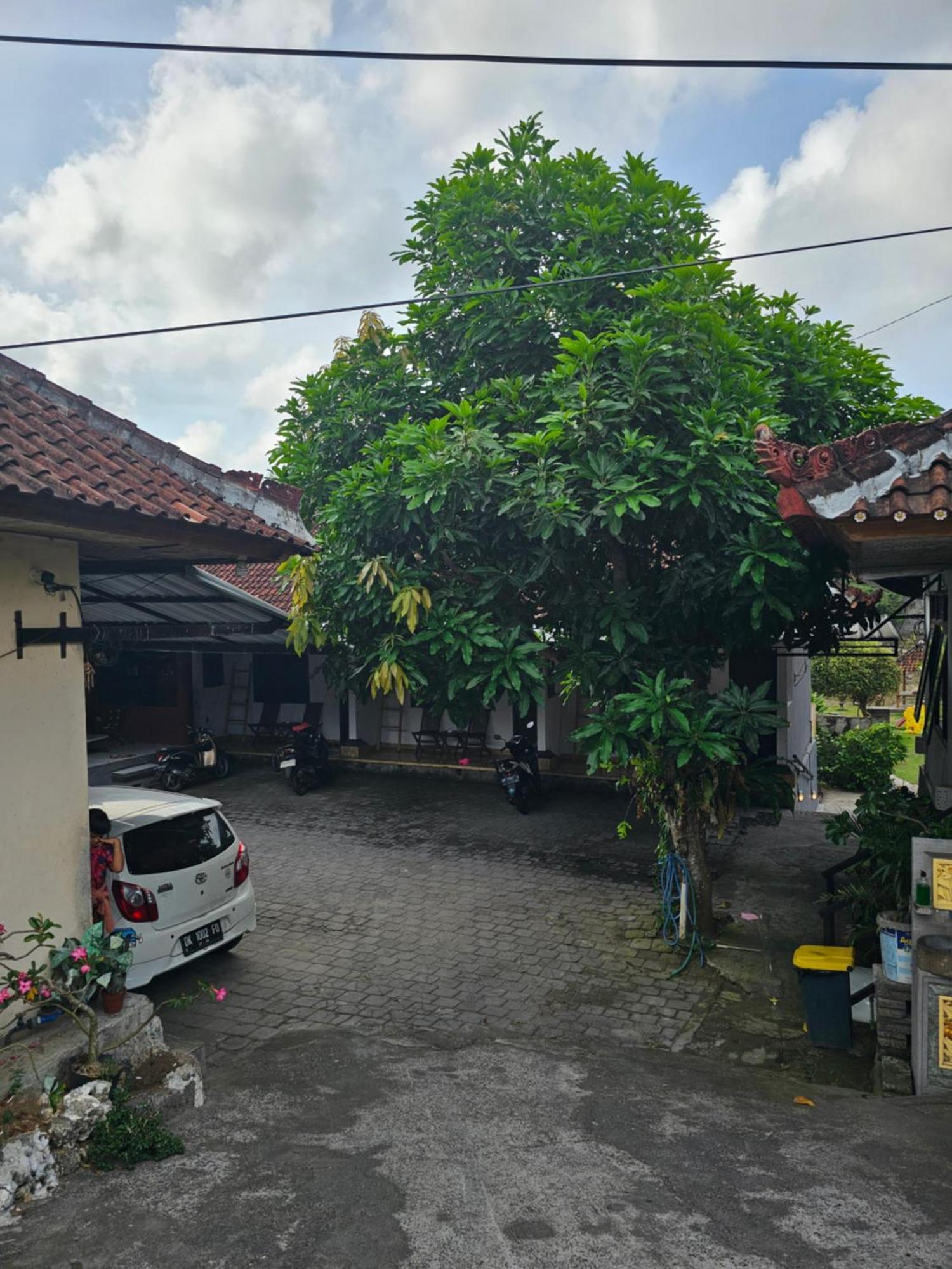 Padang-Padang Sari Homestay Uluwatu  Ruang foto